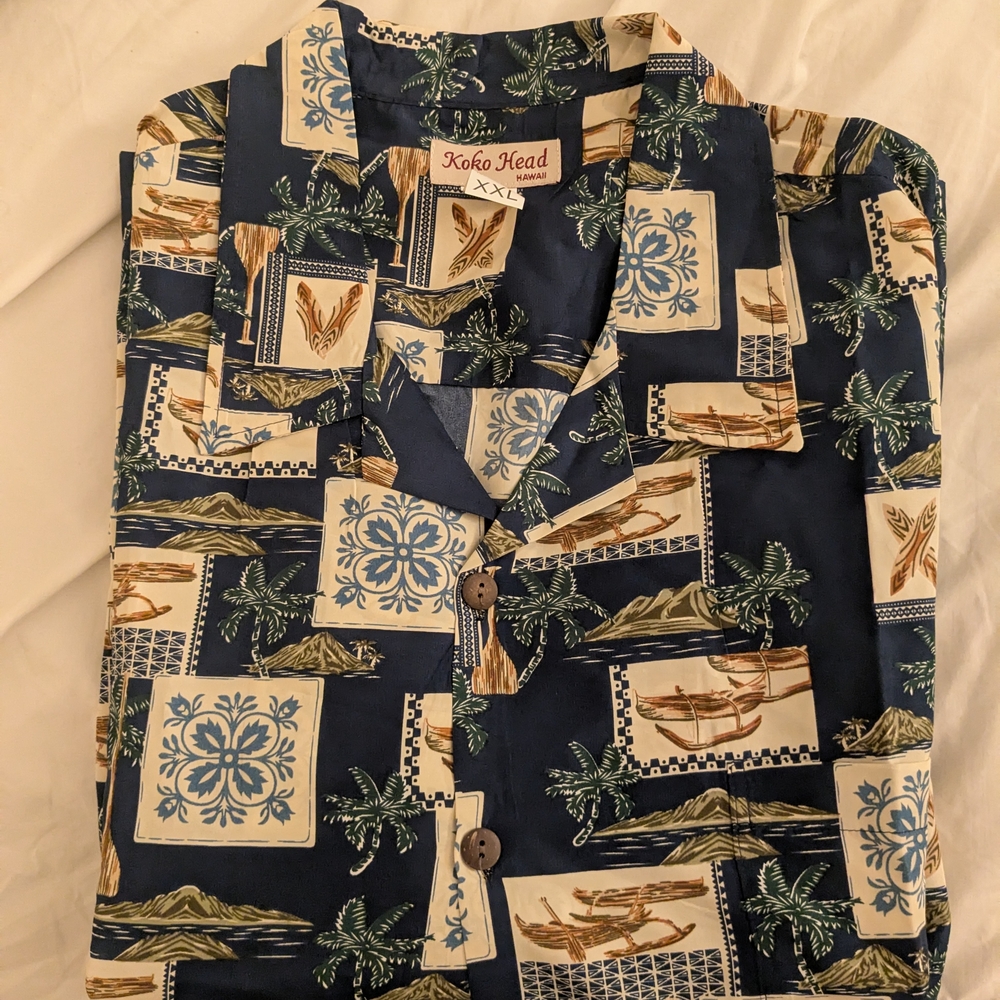Men's Blue Casual Button Down Shirt